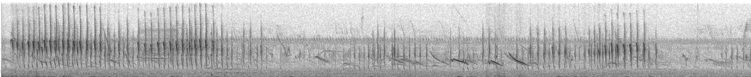 Chinchipe Spinetail - ML507822421