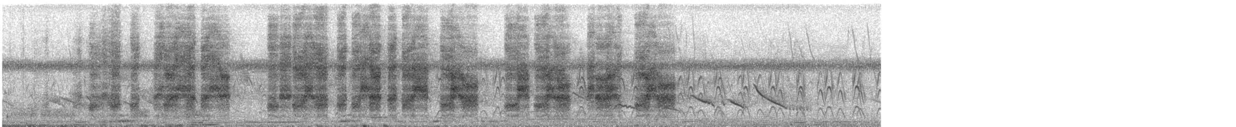 ヨコジマサボテンミソサザイ - ML507822571