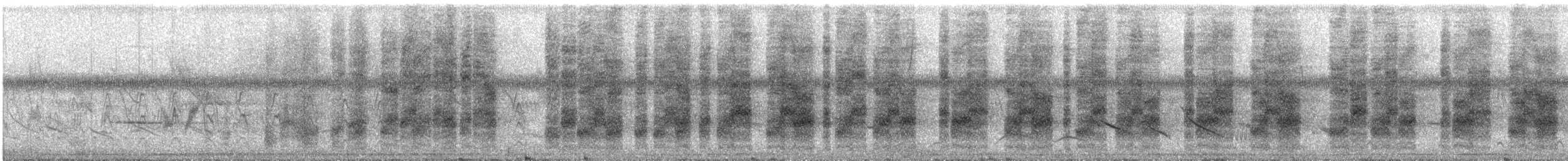 ヨコジマサボテンミソサザイ - ML507822581