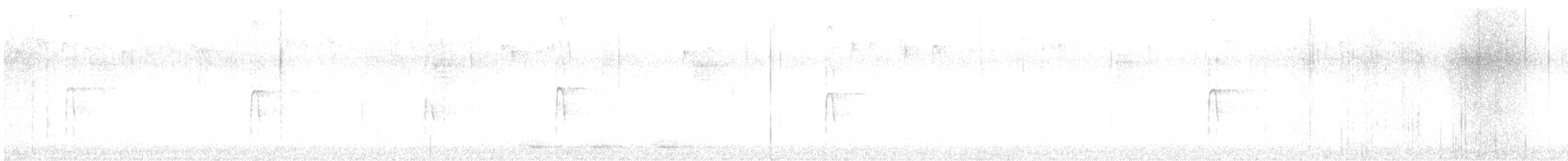 strakapoud americký [skupina harrisi] - ML507928331