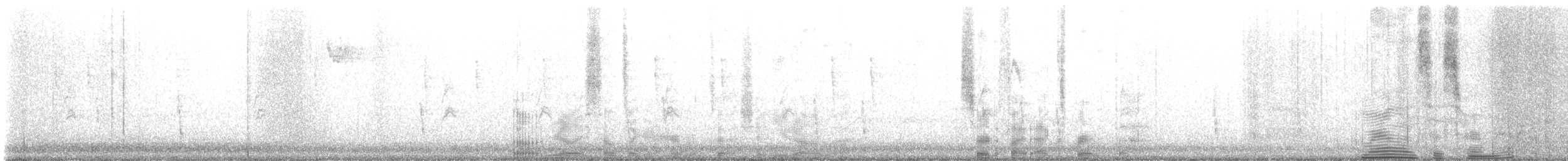 Дрізд-короткодзьоб плямистоволий - ML508050051