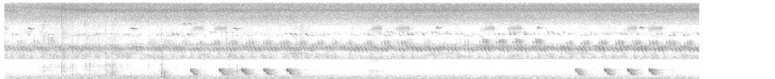 Andamanennachtschwalbe - ML508075201