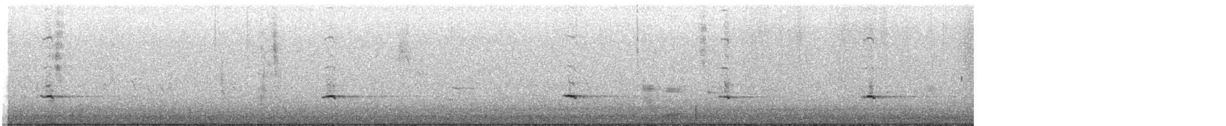 gråsolitærtrost - ML508084681