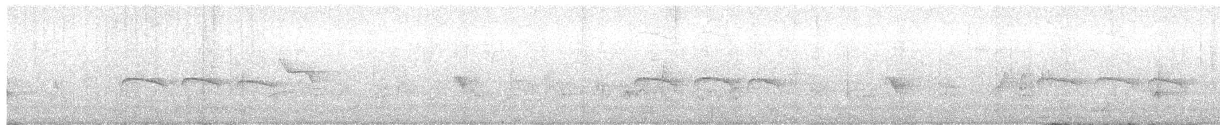 Tumbesschnäppertyrann - ML508120681