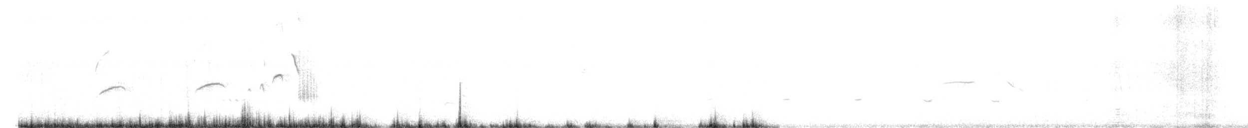 Bearded Tachuri - ML508136481