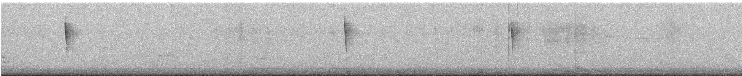 American Redstart - ML508211531