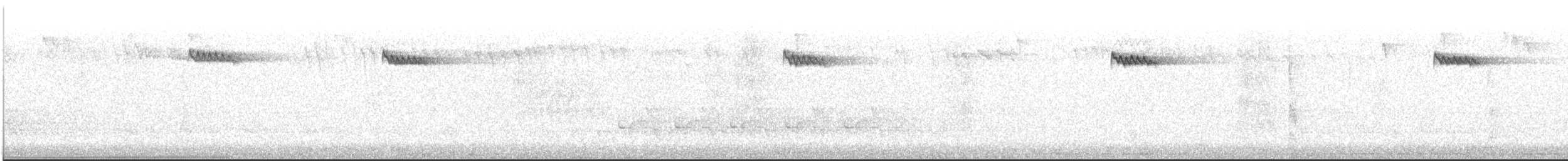 Brown Creeper - ML508251421