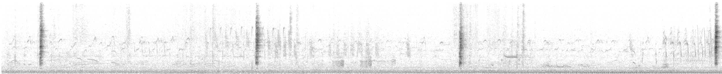 Troglodyte des marais (groupe plesius) - ML508253631