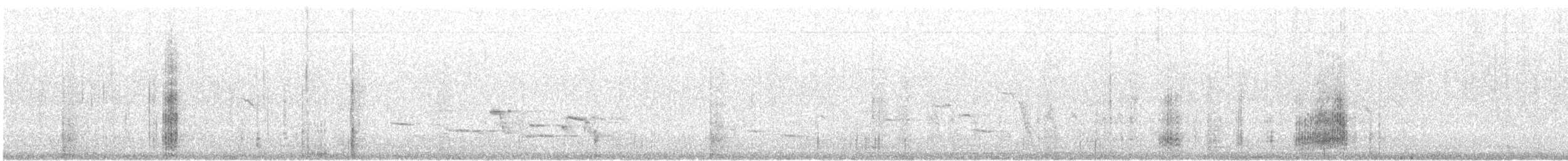 Kara Gagalı Saksağan - ML508254101
