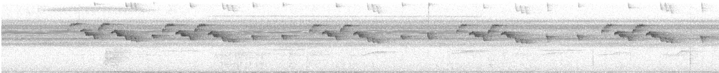 Прямоклювый колибри-отшельник - ML508421321