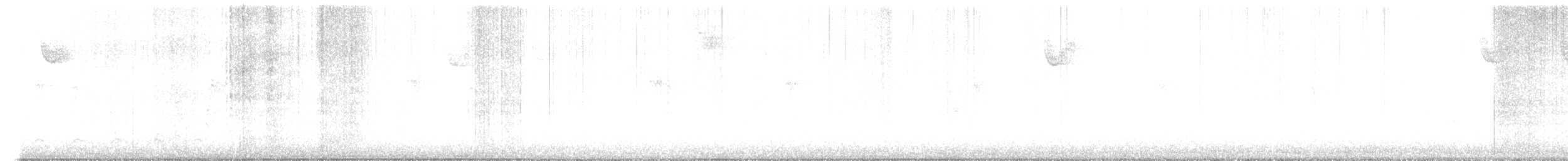 chřástal virginský (ssp. limicola/friedmanni) - ML508439351
