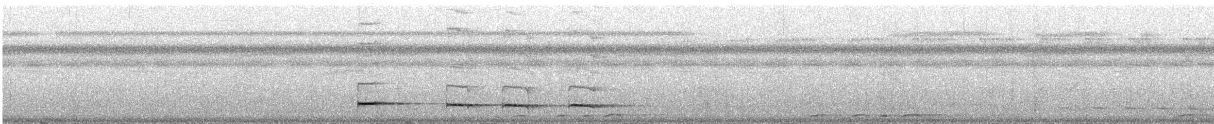 Graubrust-Ameisendrossel - ML508512861