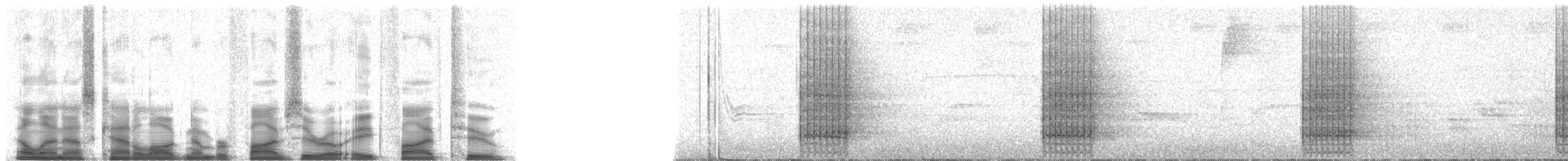 Schwarzschnabeltukan - ML50852
