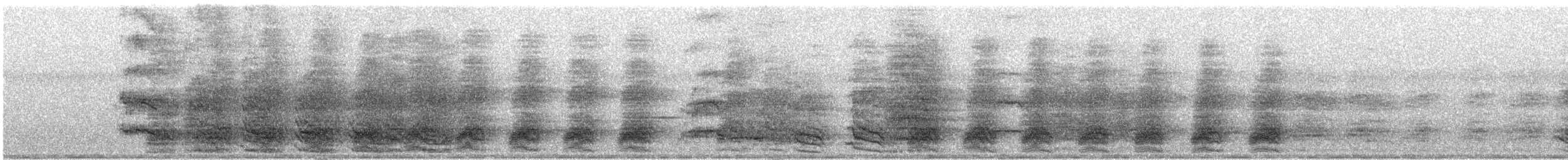 Amazona Tamaulipeca - ML508558331