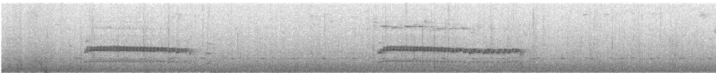 Méridatapaculo - ML508591701