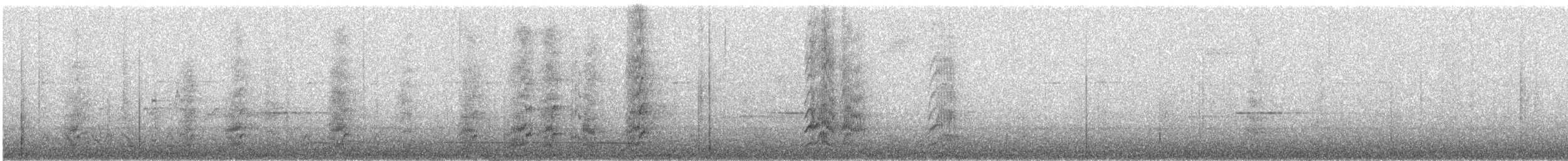 ズアカウロコインコ - ML508594361