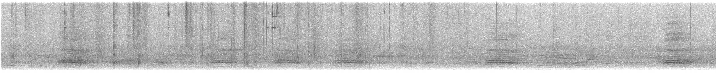 svartkråke (corone) - ML508613521