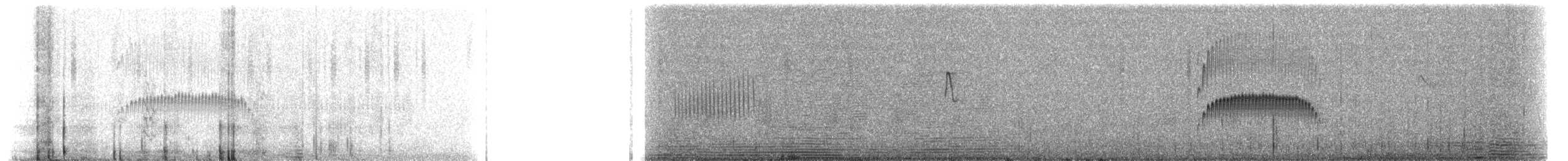 Gelbschnabel-Tachurityrann - ML508640141