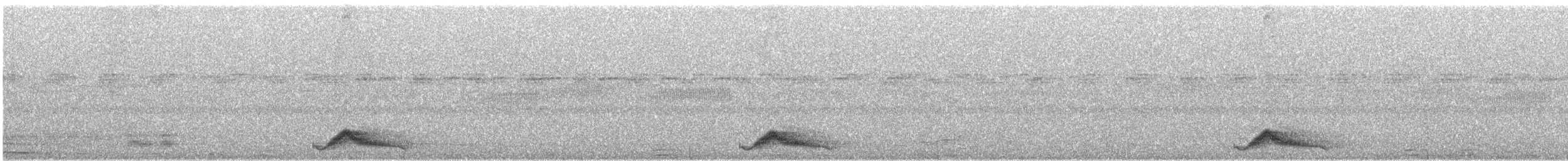 Common Pauraque - ML50865241