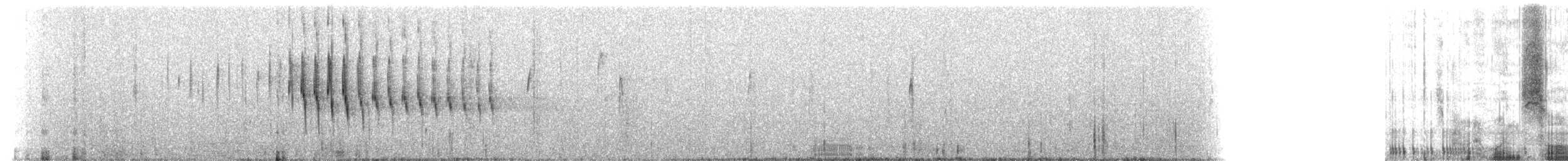 Weißkehl-Erdhacker - ML508653581