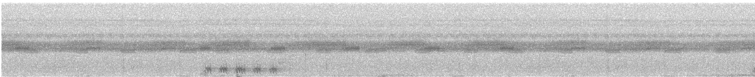 Black-tailed Trogon - ML508671451