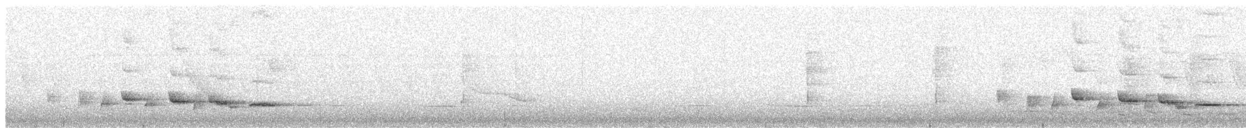 Puvel's Illadopsis - ML508686331