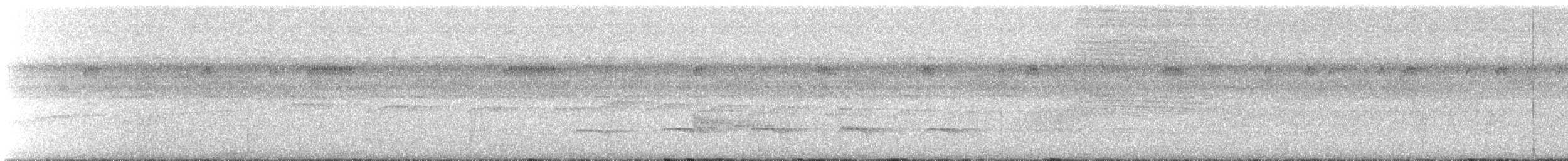 Sclater's Antwren - ML508722471