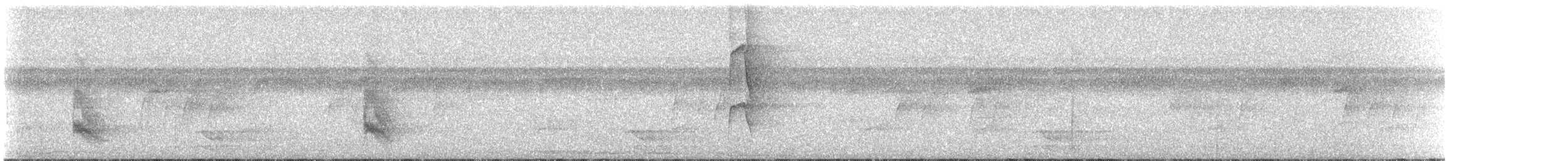 Bauchflecken-Ameisenvogel - ML508723631