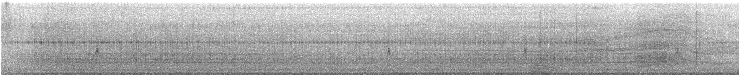 Song Sparrow - ML508734841