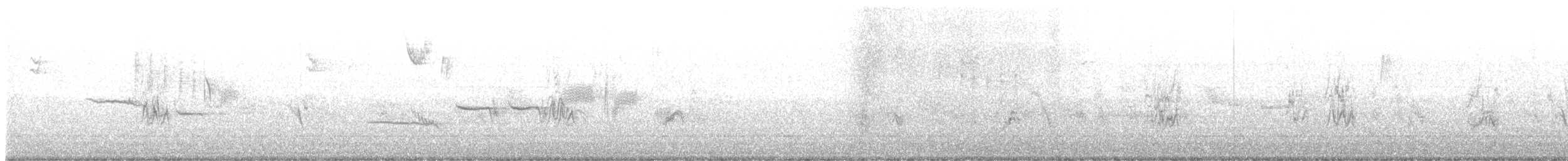 Bruant à couronne blanche (leucophrys/oriantha) - ML508758811