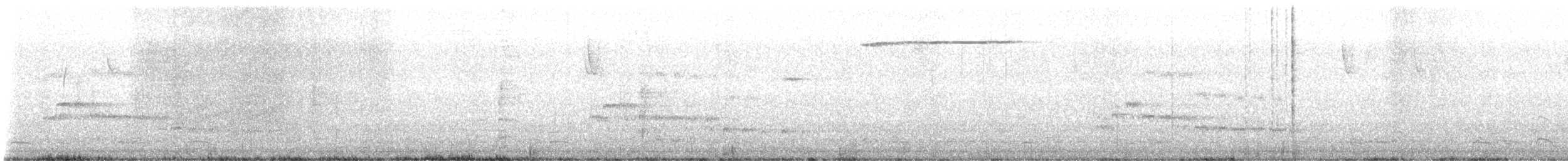 ハクトウワシ - ML508888571