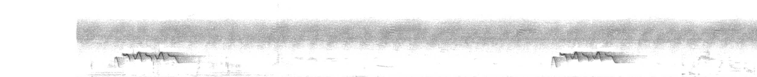 Spelaeornis sp. - ML508927331