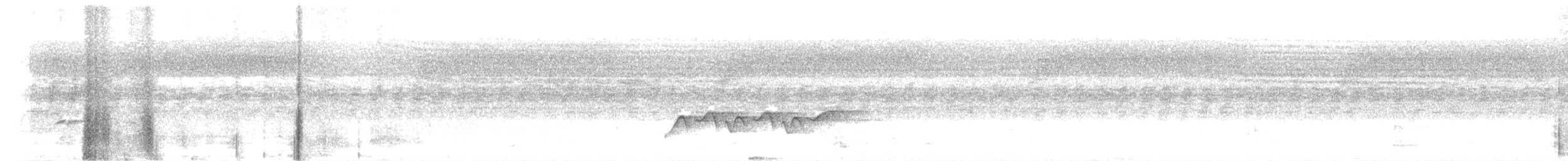 Spelaeornis sp. - ML508927611