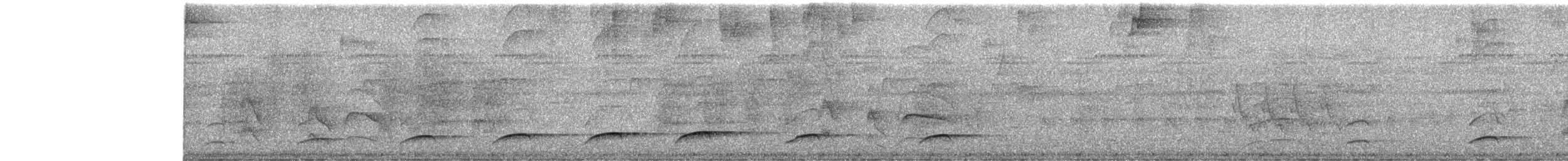 Dull-capped Attila - ML50897831