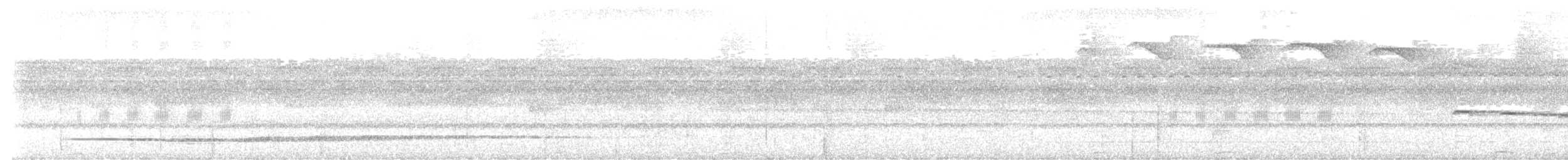 Variegated Tinamou - ML509020741