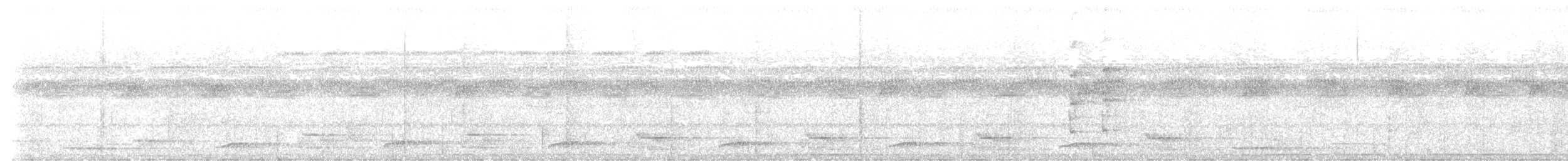 Tinamou à gorge blanche - ML509021031