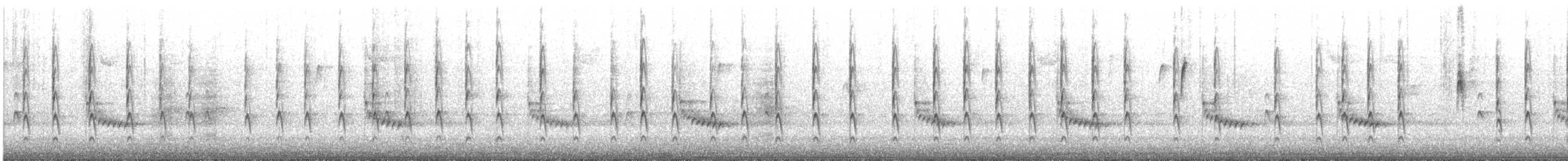 Winterzaunkönig - ML509068541