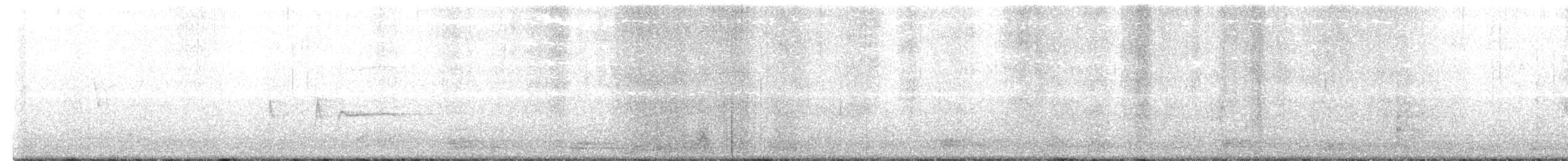 Western Wood-Pewee - ML509231551