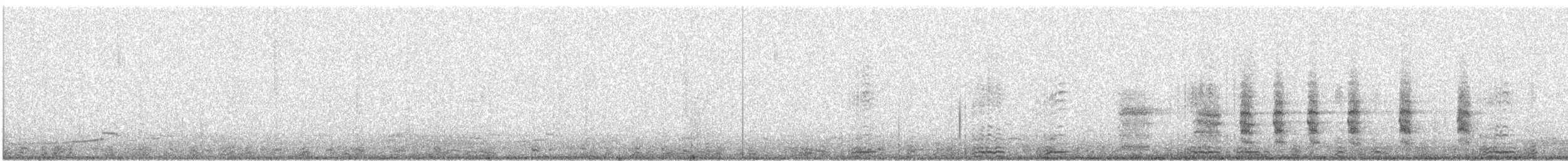 berneška tmavá (ssp. bernicla) - ML509246971