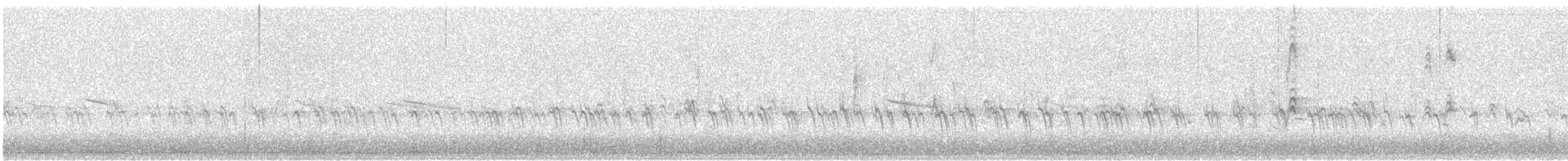 Fichtenkreuzschnabel (Typ 2) - ML509250741