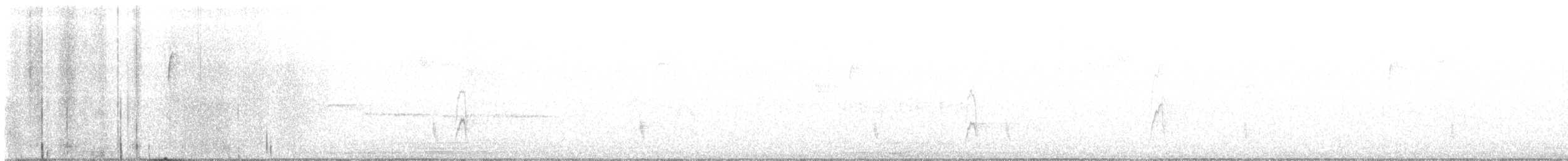 Дрізд-короткодзьоб плямистоволий - ML509264061