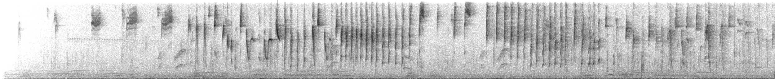 Kara Takkeli Hemispingus (auricularis) - ML509283311
