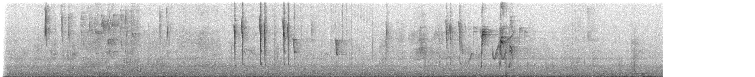 テンニョハチドリ（nobilis） - ML509370781
