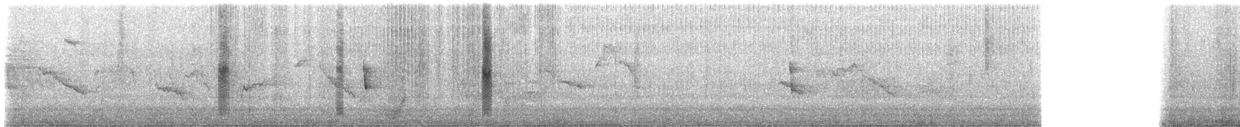 テンニョハチドリ（nobilis） - ML509371071