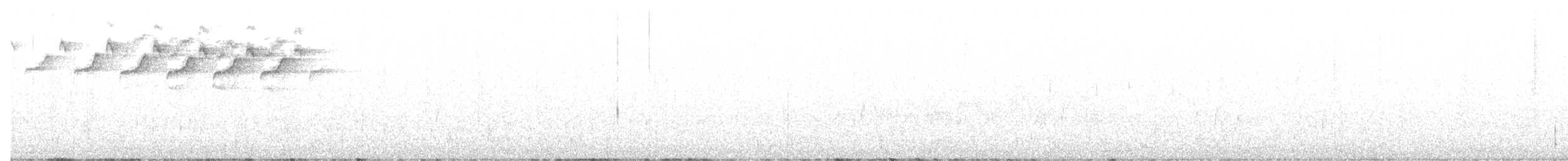 lesňáček černobílý - ML509437211