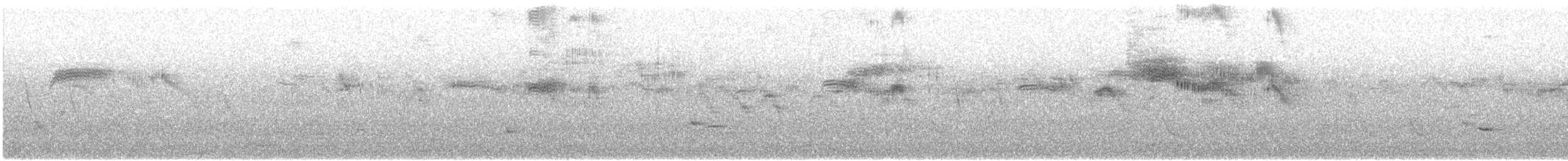 ミナミクロアマツバメ（barbatus グループ） - ML509486861