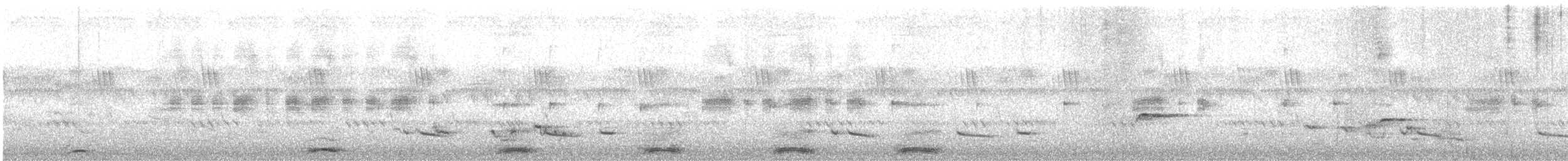 Schalow's Turaco - ML509503691