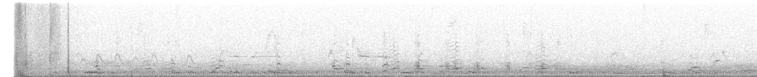 Cygne siffleur - ML509538841