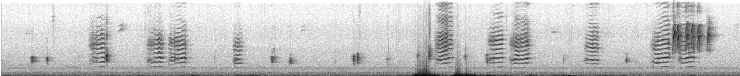 Northern Shrike - ML509541161