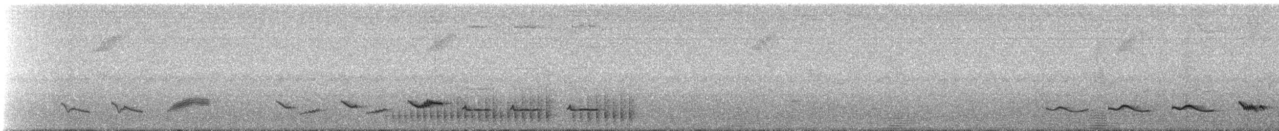 Picumne ocré - ML509551551